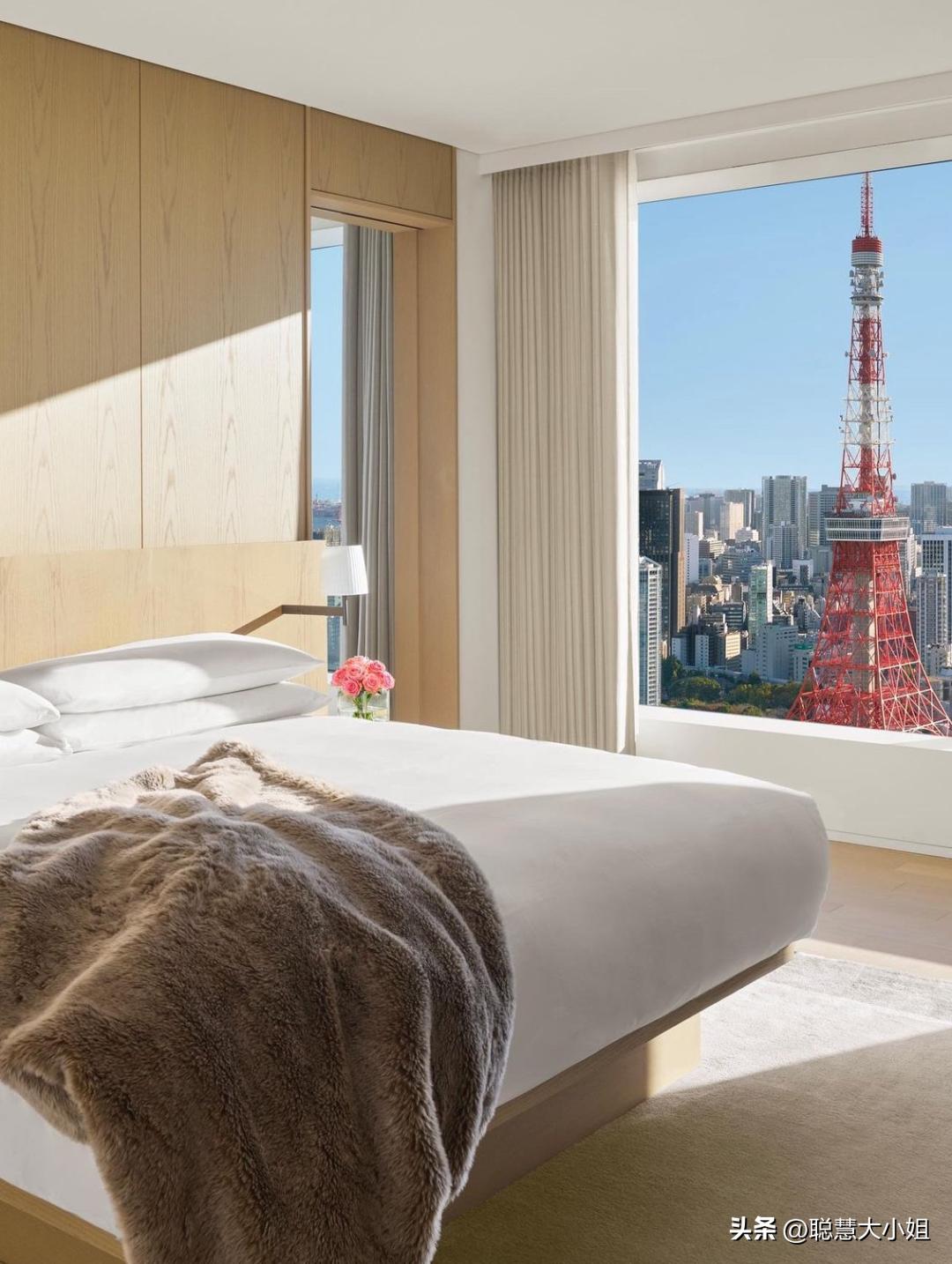 日本樱花花海浪漫之旅,日本旅游看樱花之旅攻略