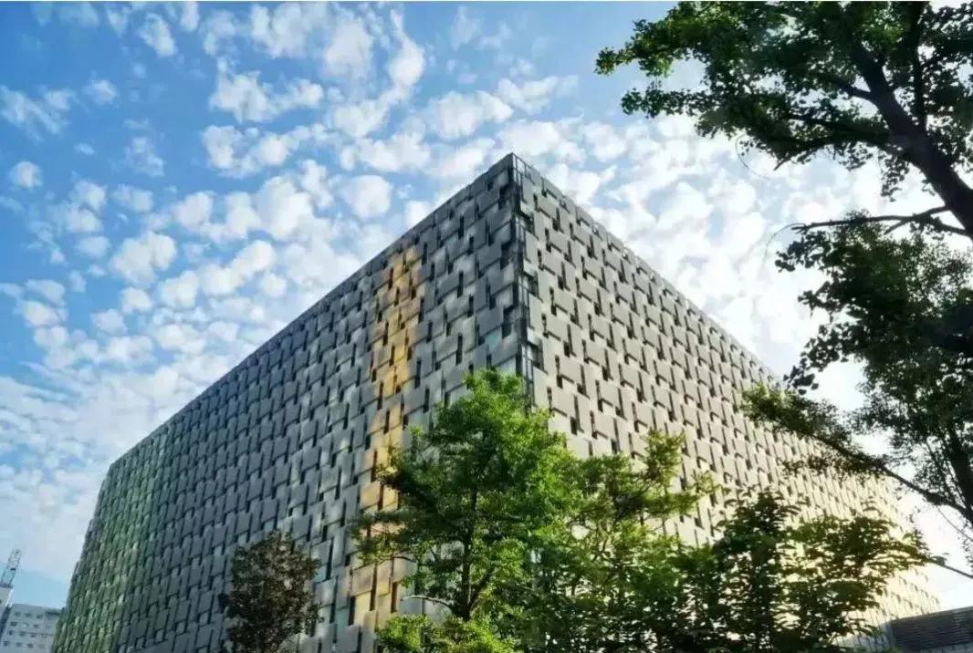 春节查的资料,过年问诊