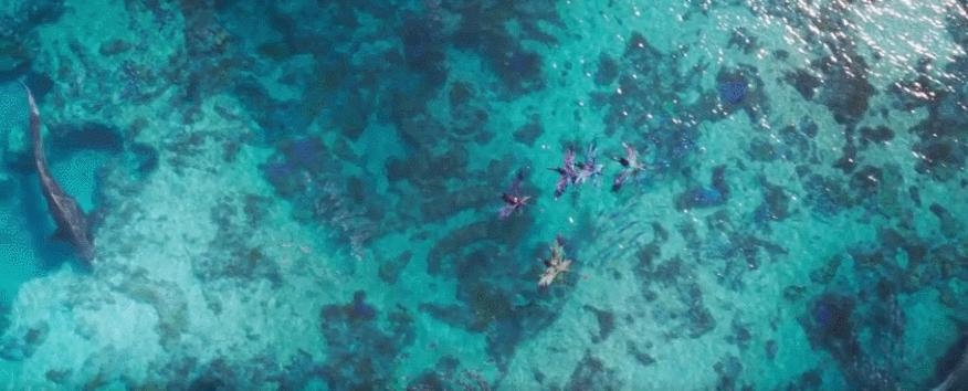 曝阿凡达2定档2022,苦等十年阿凡达2最新预告