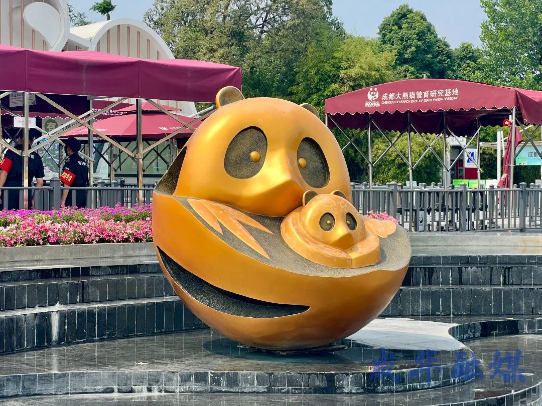 这套“运动装”，爱了！|成华融媒