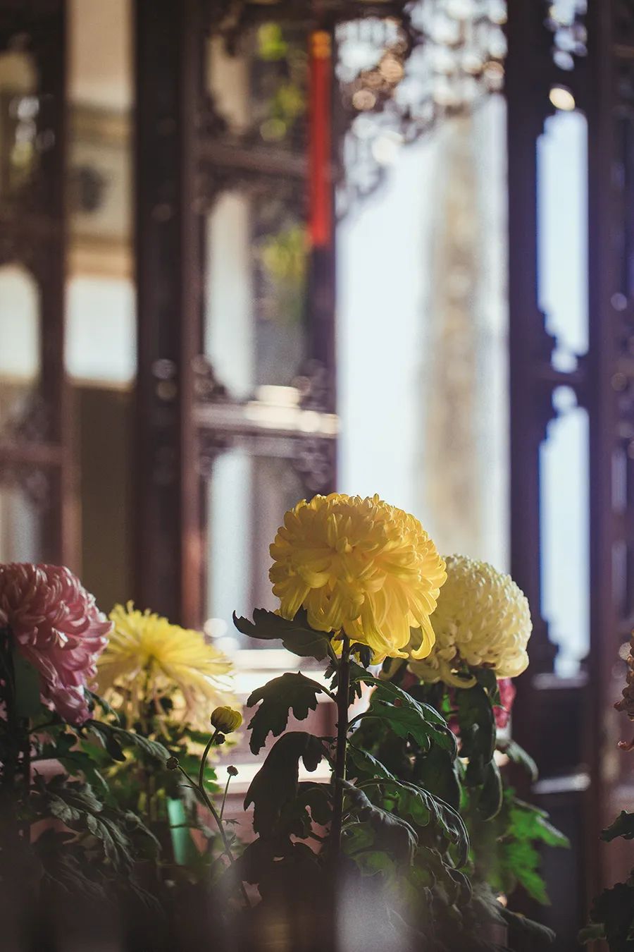 时间雅称大全,时间的别称雅称