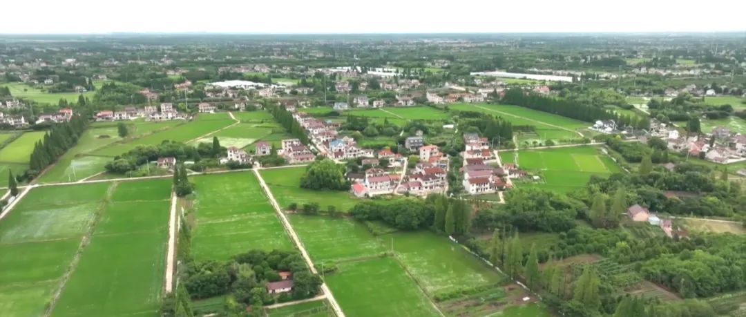 崇明有个花漾小镇颜值并存,崇明东平特色小镇