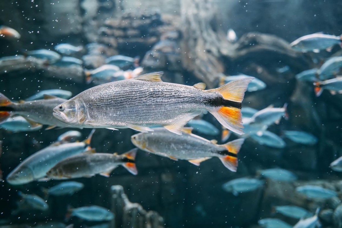 炎炎夏日，踏浪而来，赶赴一场和海南的约“惠”