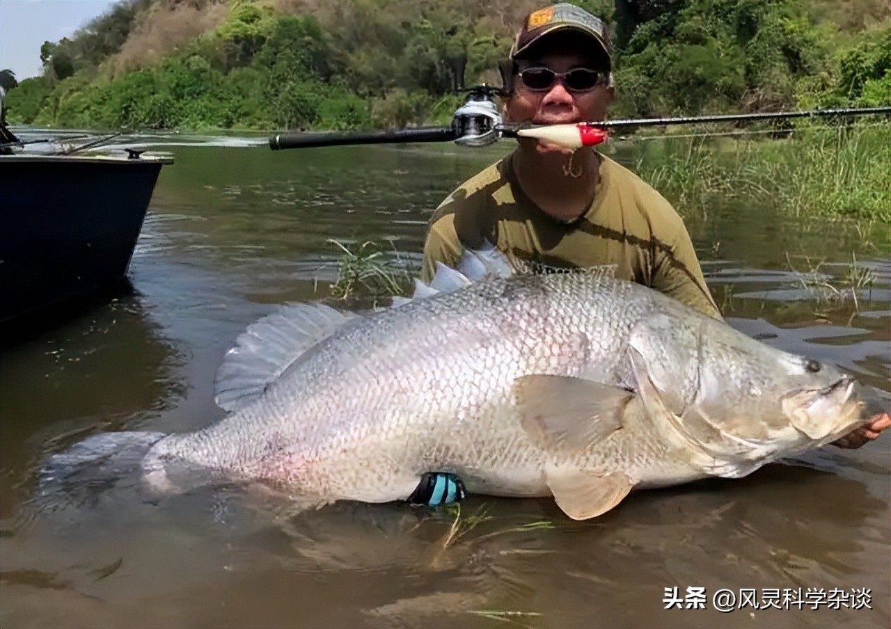 中国最拥挤的地方,世界上最拥挤的城市
