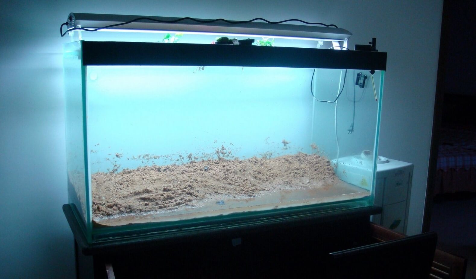 三湖慈鲷可以和三湖慈鲷一起养吗,三湖慈鲷适合什么水质