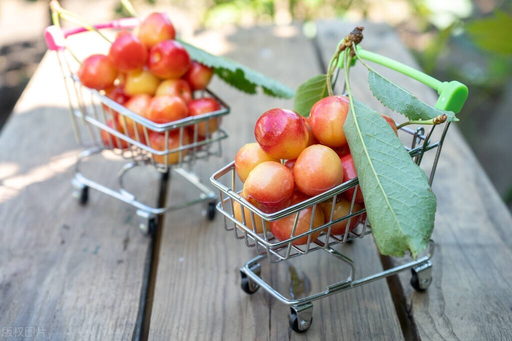 电商食品安全法律法规 (电商平台食品安全制度)