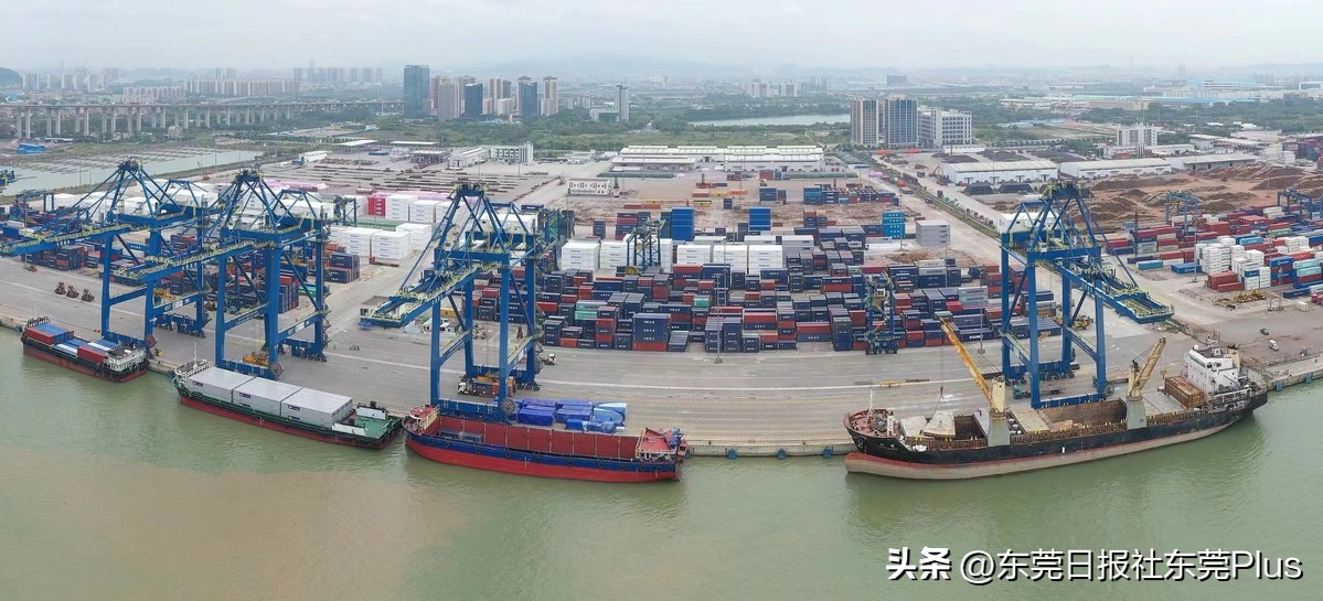 东莞外贸进出口恢复增长,东莞外贸出口总额