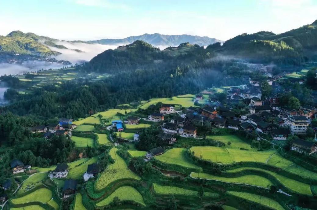 中益乡跑出振兴“加速度”，融创做对了什么？