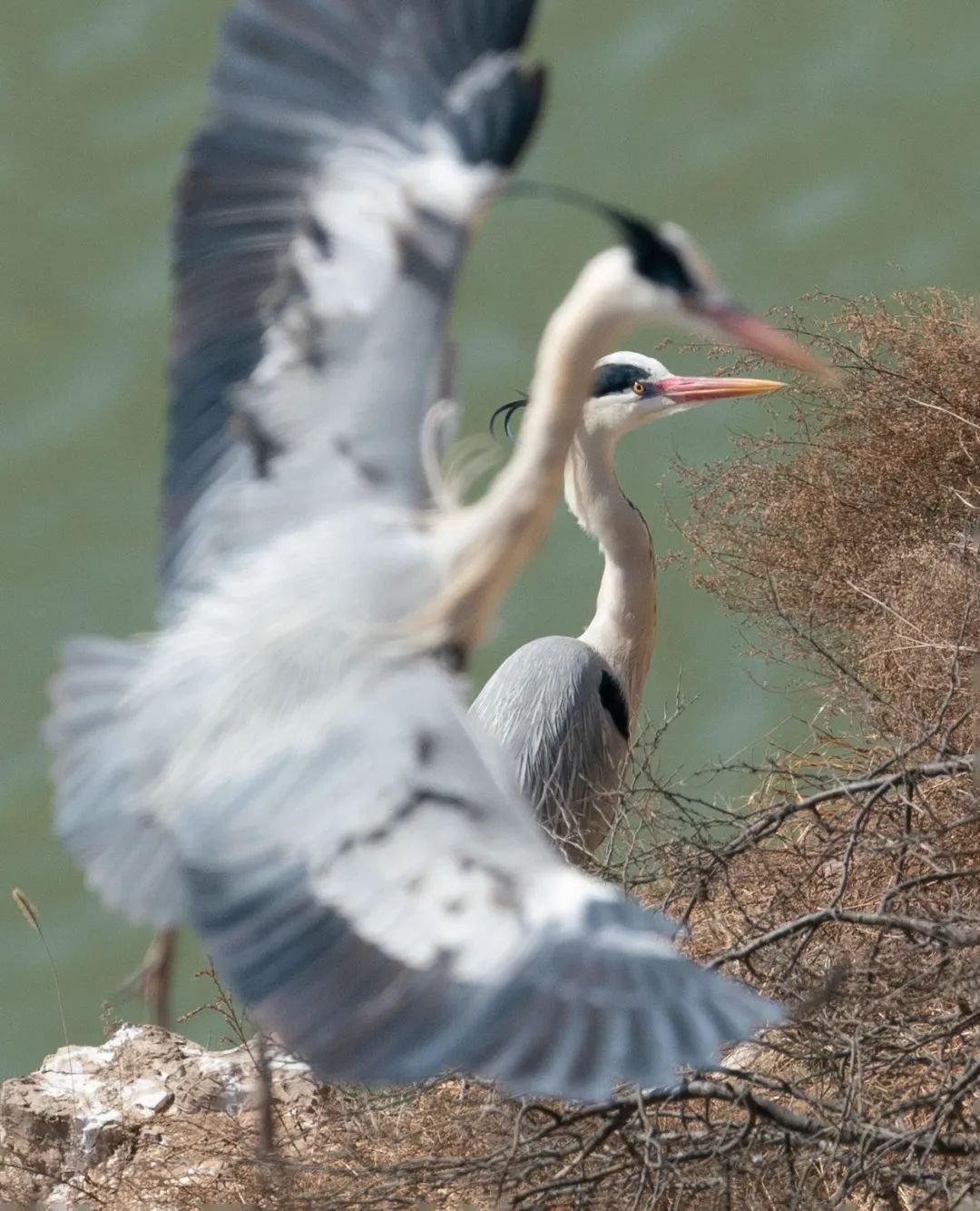 迎接党的20大美术作品,喜迎二十大乡村摄影展