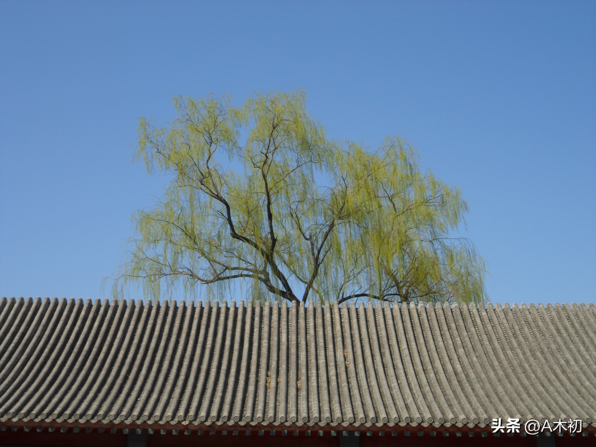 古诗泊秦淮唐杜牧注音版,唐代诗人鲍溶简介