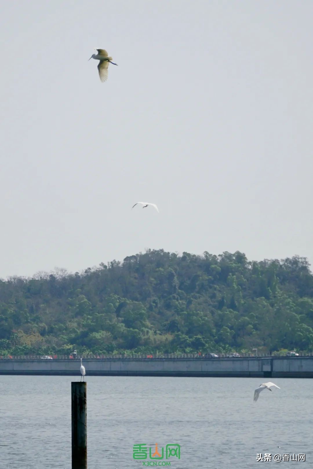 珠海最美海岸线,珠海哪个海边最值得去的