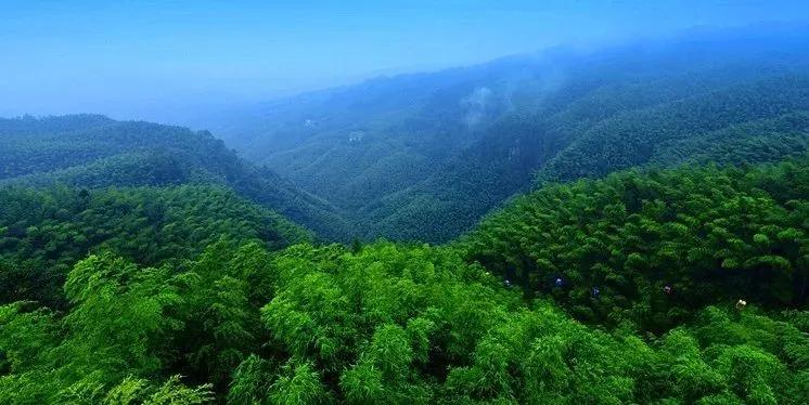 林海山水画作品欣赏,国内十大竹海排名