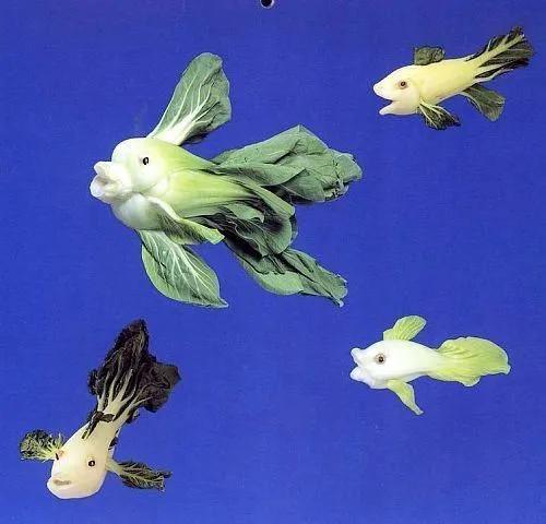 有关铭六1班的一些影影绰绰