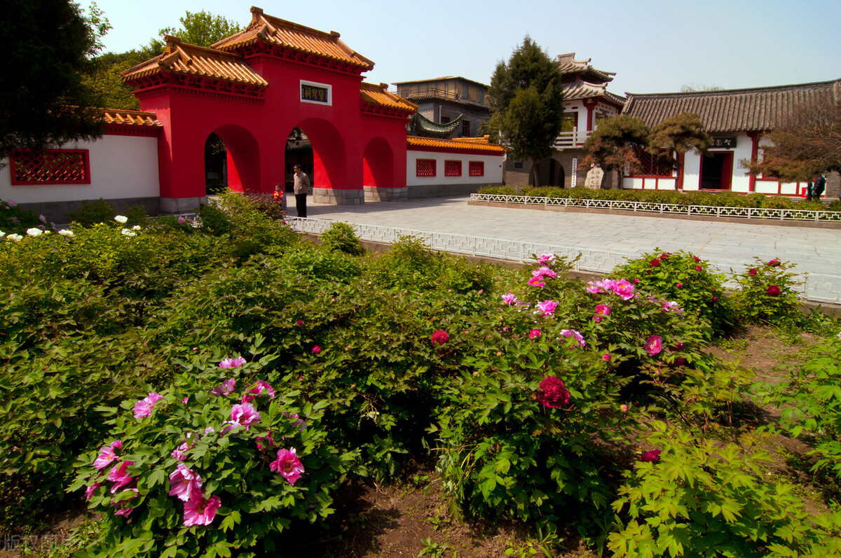 揭开传统家庭的遮羞布,揭开底层的遮羞布