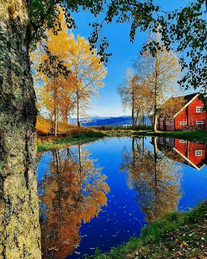 职场心理学你应该学会的说话方式,心理学谈话时眼神一直看着你