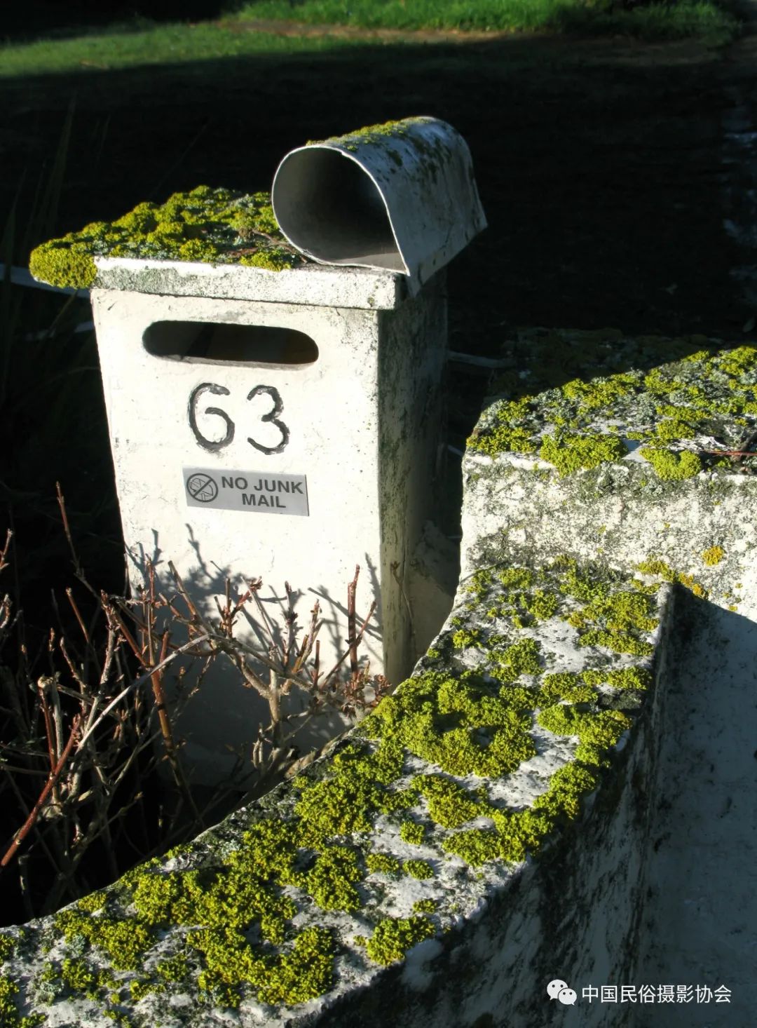 中新建交50周年｜“人类贡献奖”年赛中的新西兰民俗故事