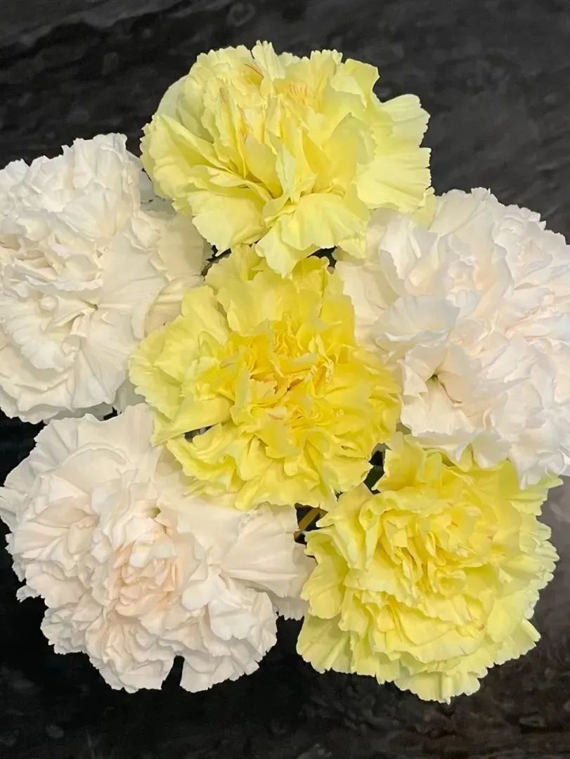 新手必看鲜花养护攻略,鲜花在水里能养几天会死