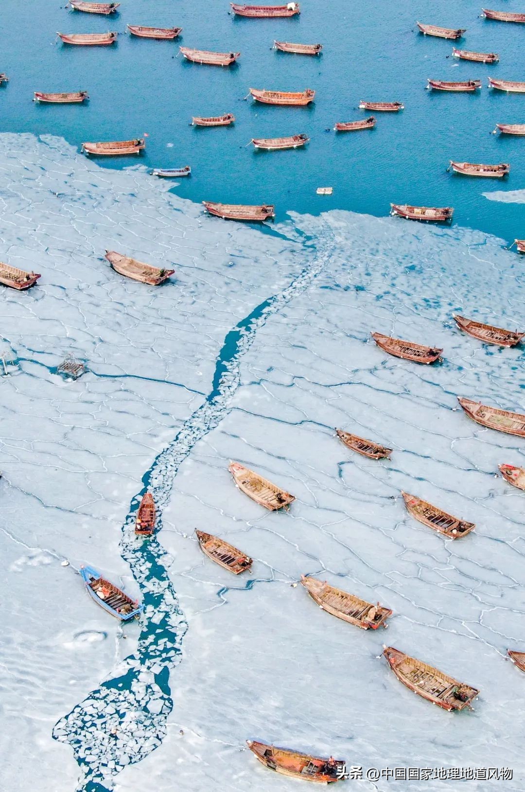 现在的海鲜什么比较好吃,中国哪的海鲜比较好