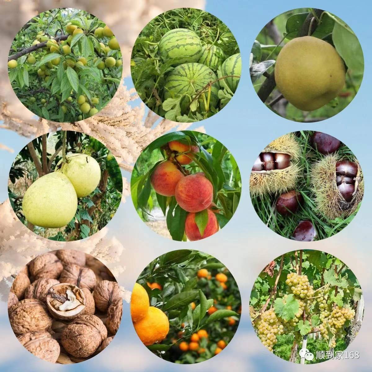 为“快递进村难”，探索“乡村物流”新模式