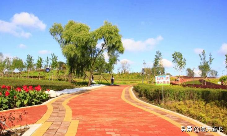 鹤岗网红城市,全国房价最便宜的城市鹤岗