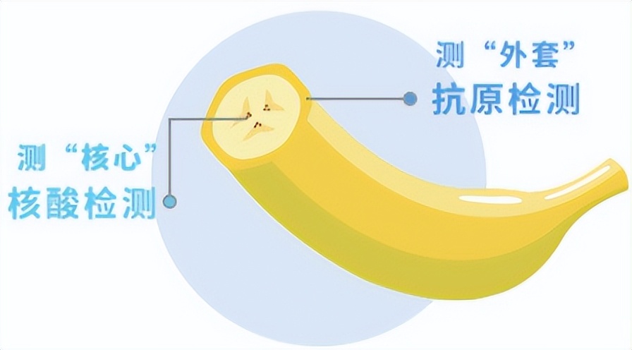 发现自己阳了怎么办,感觉自己新冠阳性了应该怎么做