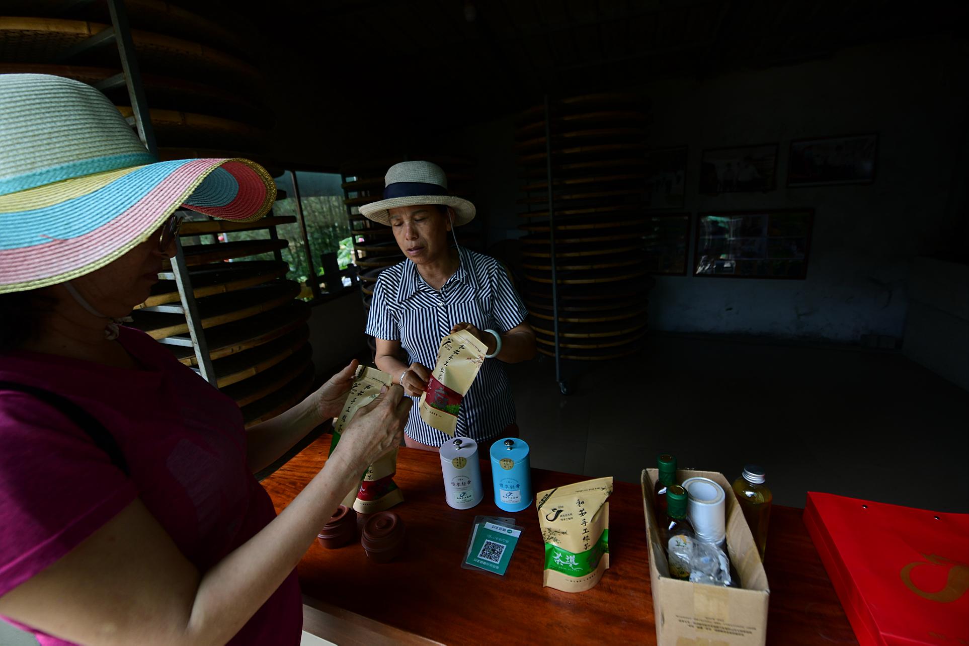 深山黎村奔“富”记：种“致富茶”、吃“旅游饭”，乡村振兴路越走越宽