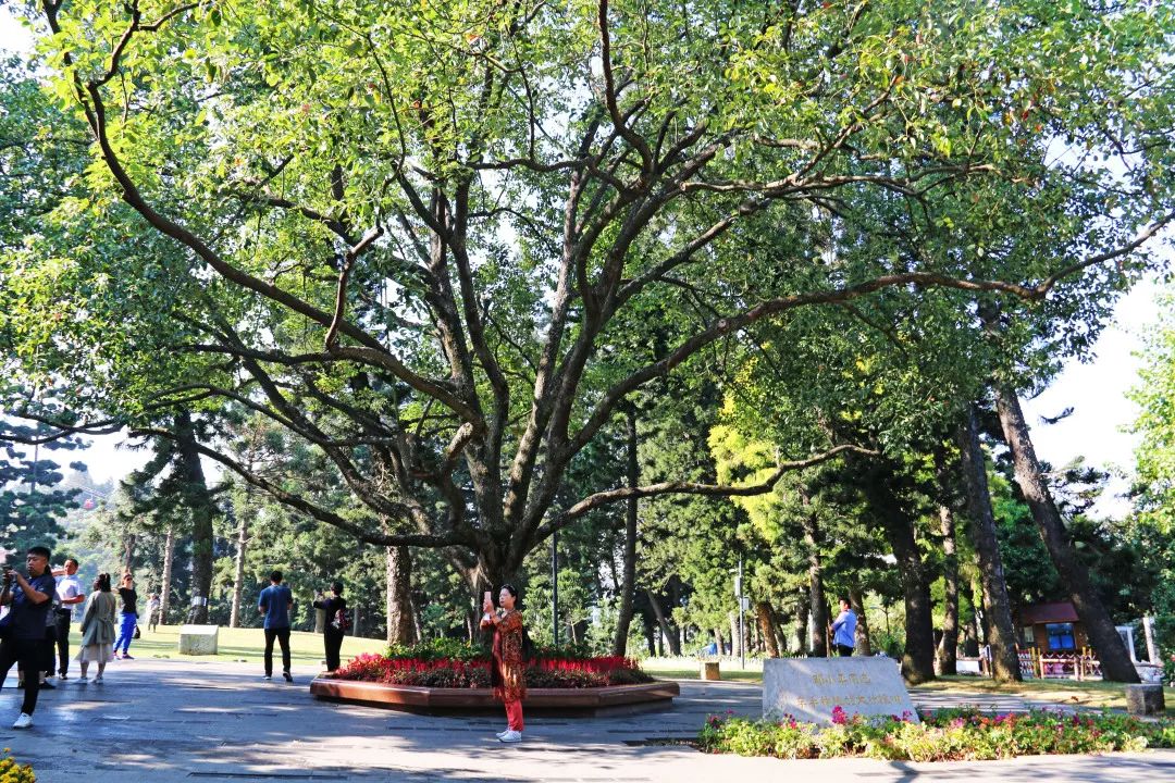 厦门旅游亲子酒店,厦门岛内亲子好去处