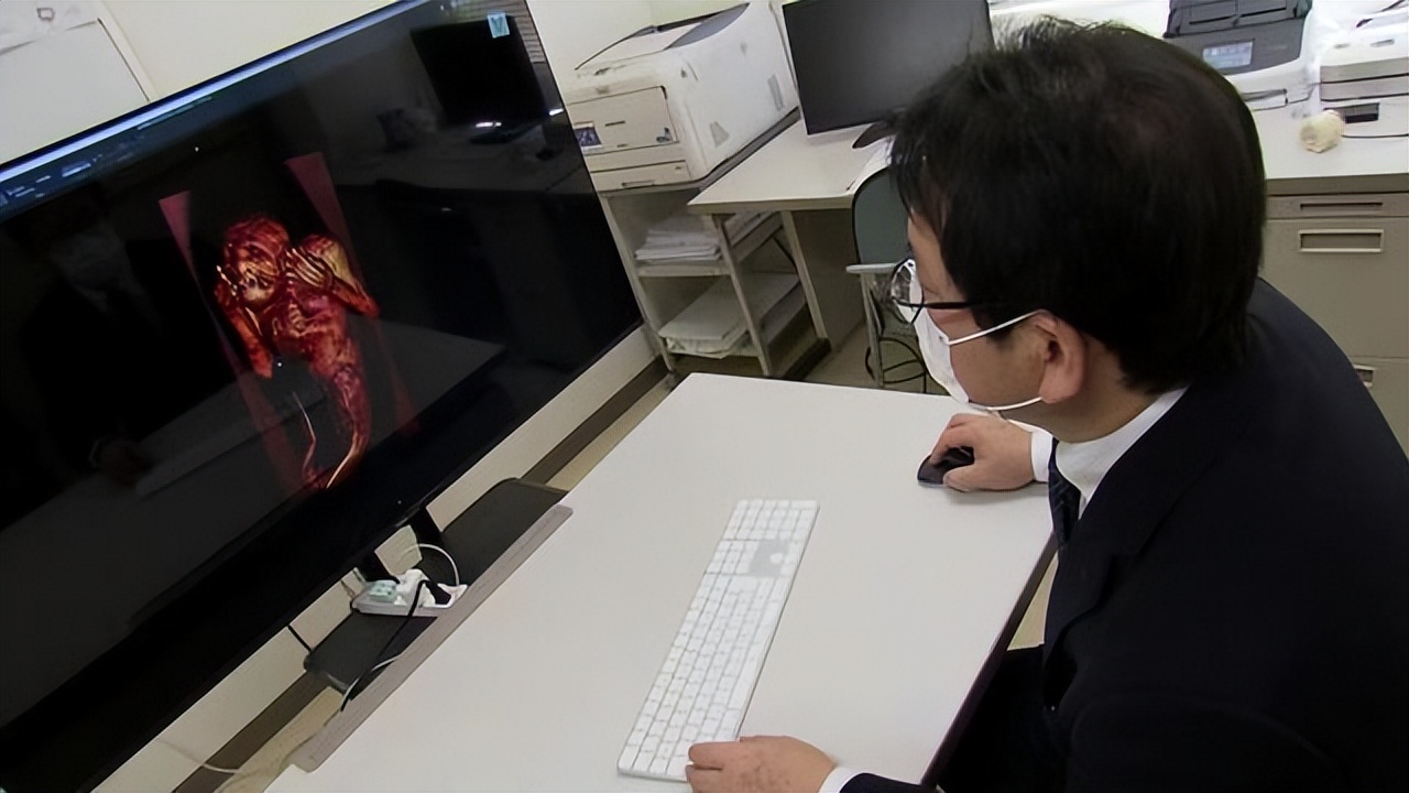 日本珍藏人鱼标本,日本美人鱼标本