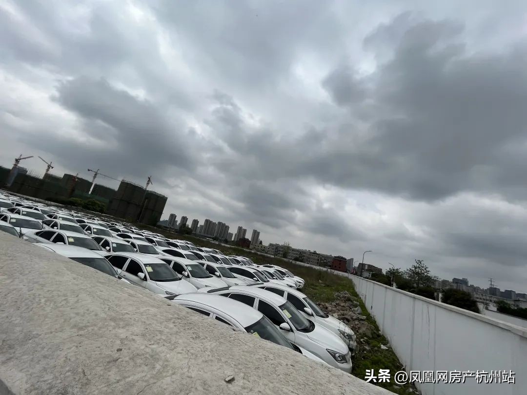 萧山开市客房子,萧山开市客板块