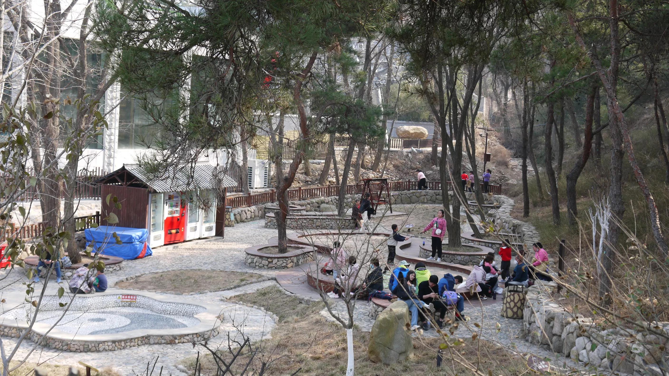 闈掑矝浠板彛鏅尯鍐ぉ,闈掑矝浠板彛鏅尯鎵撳崱