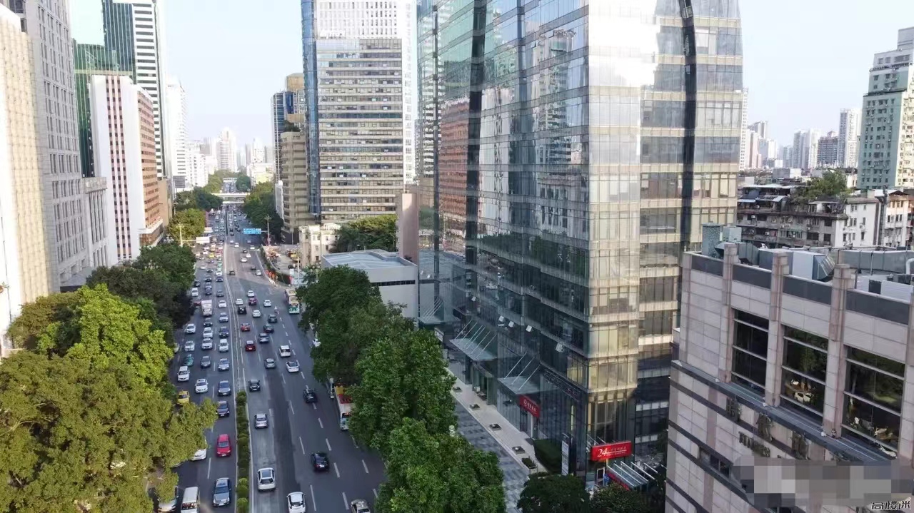 农村种植茶树的前景,种一亩茶树一年的收入多少钱