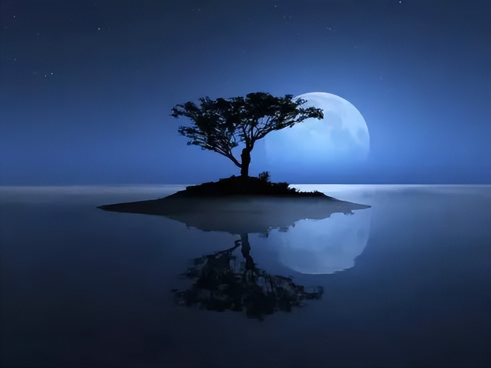 寻人不遇的经典诗句,寻隐者不遇经典诗句