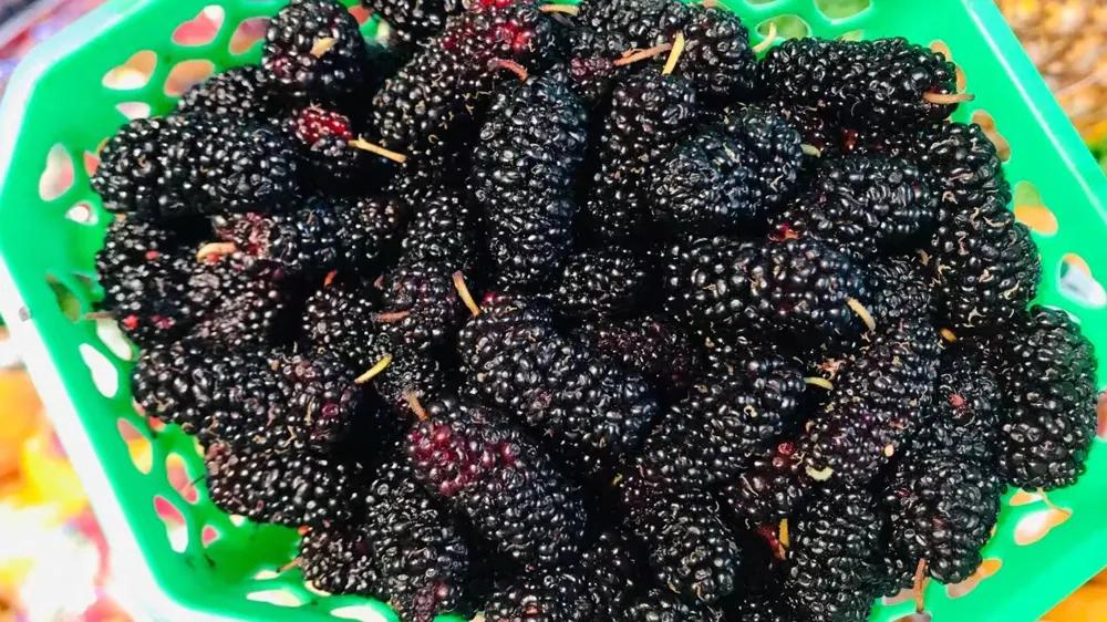 开一家水果店利润大概多少,开一家水果店利润怎样