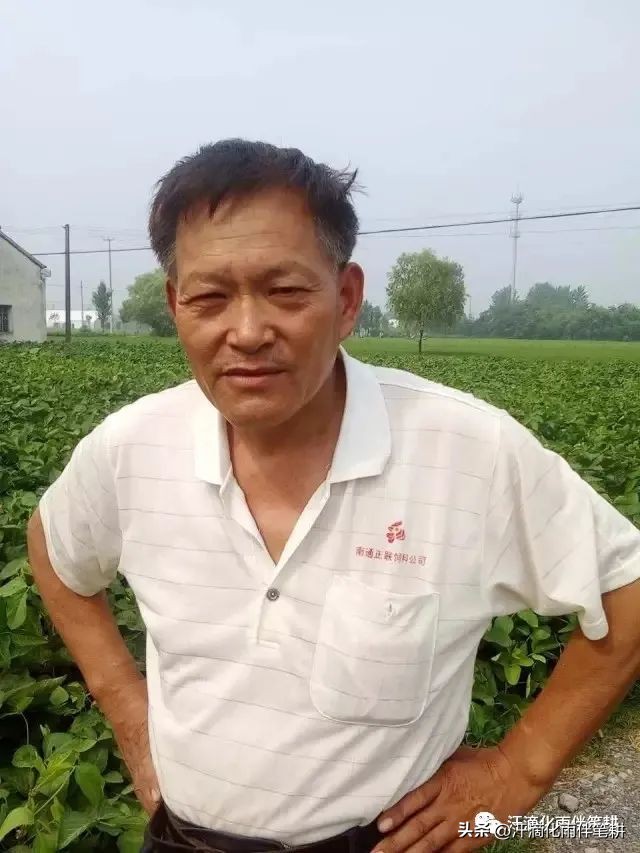 海安曲塘镇杨兆云,杨兆云原创视频