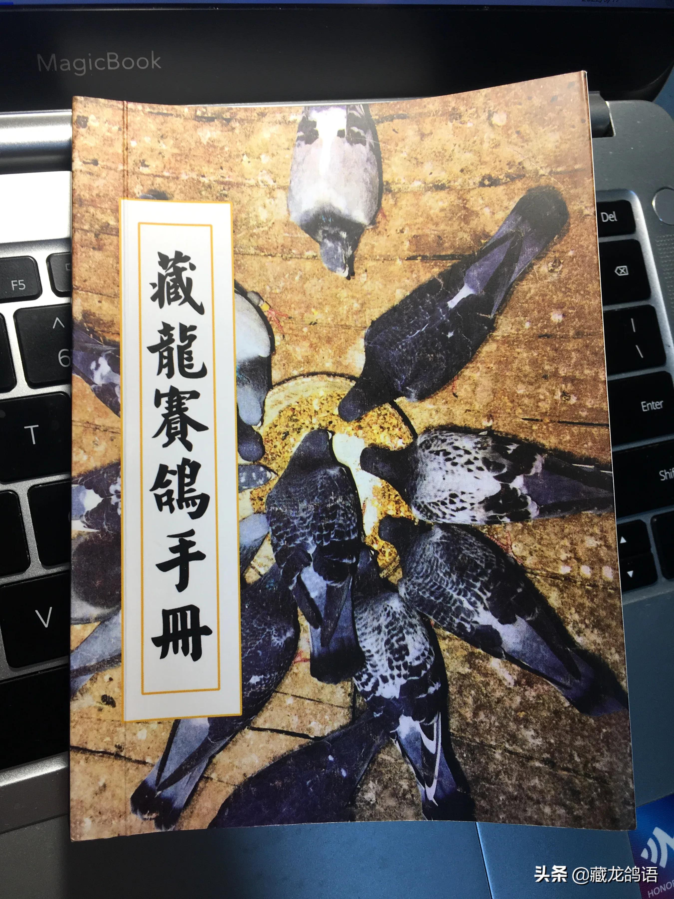 杰夫·冯·莱尔谈赛鸽的鉴赏与鸽舍的管理