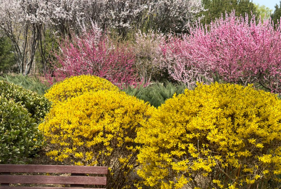 小众公园北京,北京欧式小众公园