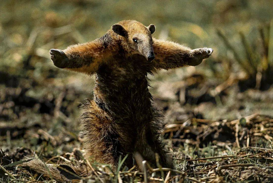 中国第18届国际摄影展入围作品,2021中国摄影艺术展获奖作品