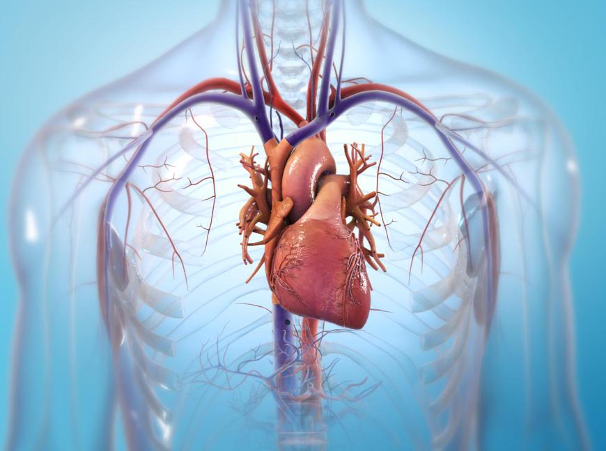 中医治疗心力衰竭效果好吗,中医对心力衰竭是如何辨证