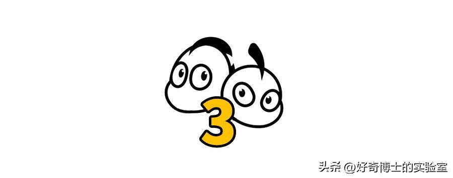 嫖娼被抓之后，会有什么遭遇？