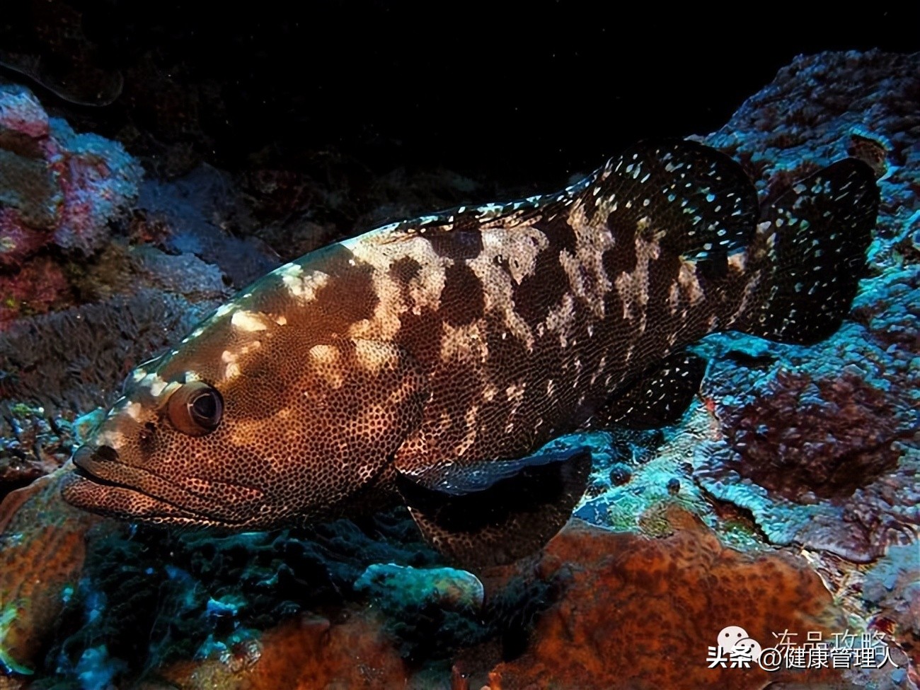 美容护肤食疗方案,美容护肤养生介绍