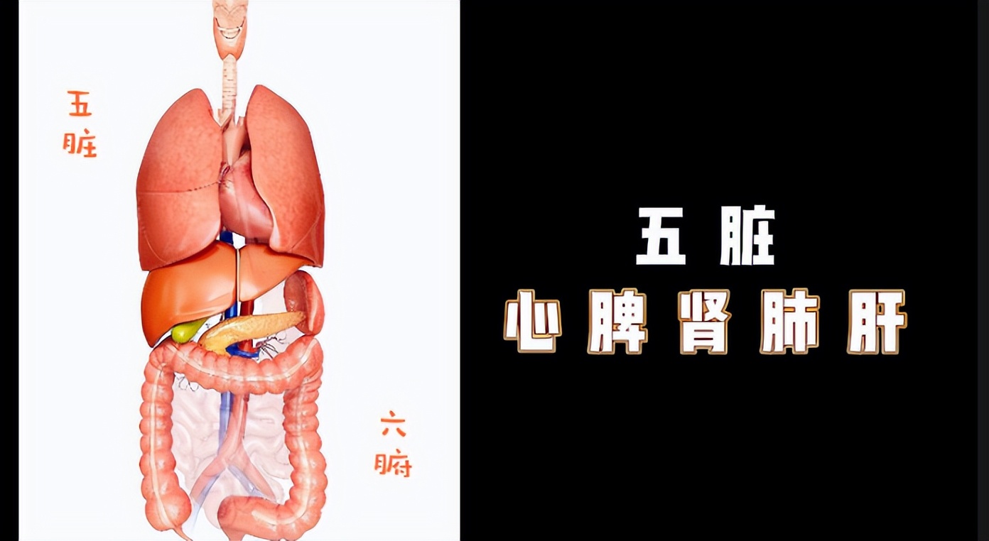 老年人记忆力差健忘怎么办,上了年纪记忆力越来越差怎么办