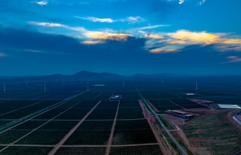 宁夏贺兰山东麓葡萄酒批发代理,贺兰山东麓葡萄酒产区直销价