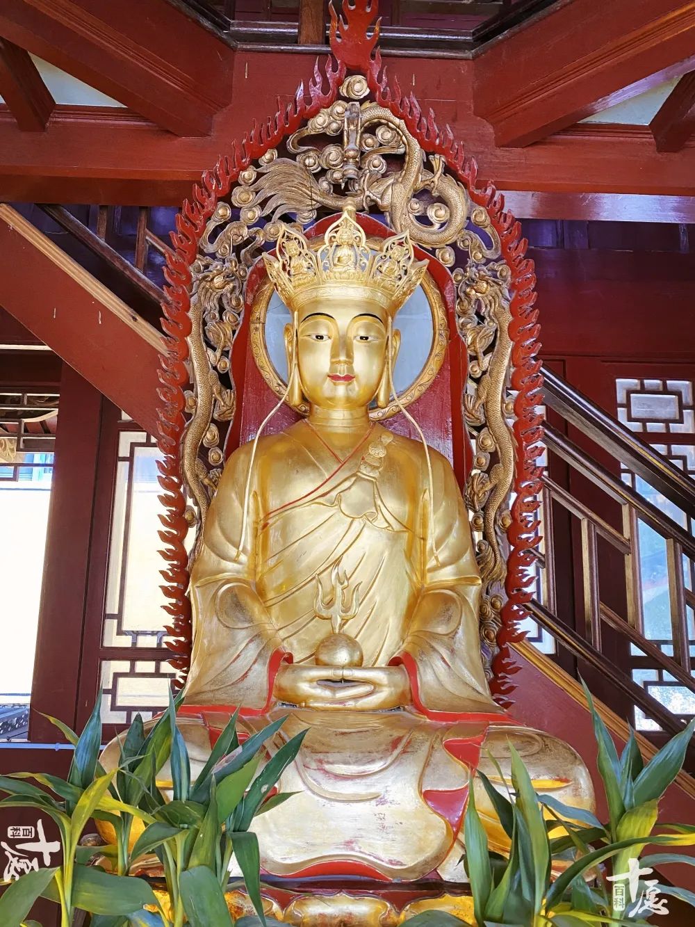 恭迎地藏王菩萨圣诞九华山,恭迎地藏菩萨圣诞殊胜日