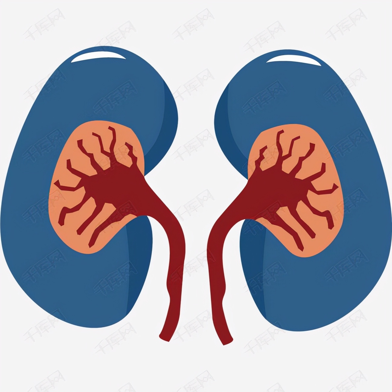 男人肾阴虚吃什么药调理,男人肾阴虚调理身体的最佳方法