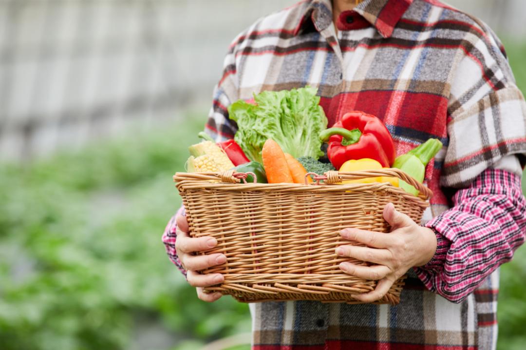5·19幸福旅程从保山开始丨五一游腾冲,绝美栖花岭:天空之伞+千亩花海+粉色沙滩+福利