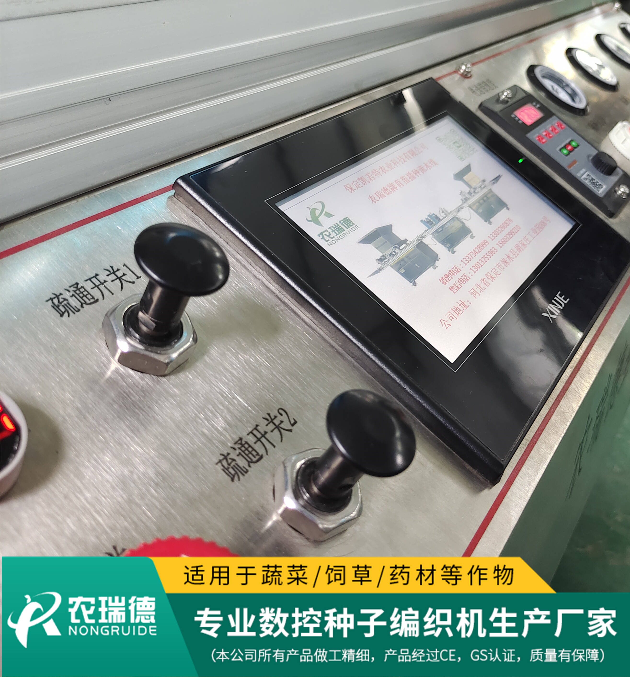 甘蓝工厂化穴盘育苗技术,早春甘蓝大棚穴盘育苗技术