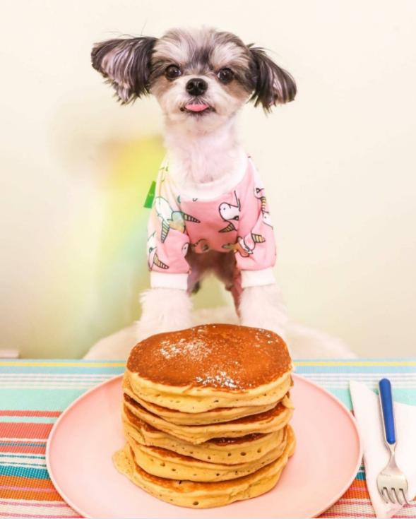 生日当天可享受的福利山东,大温吃喝玩乐