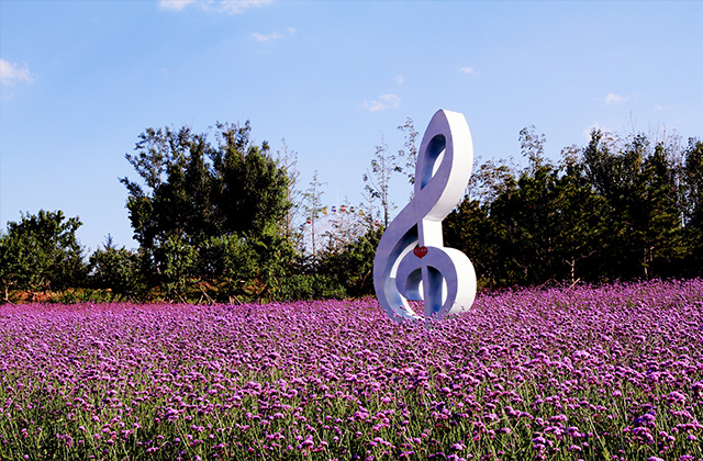 常见花卉生虫都有哪些种类,斗南花卉市场常见花卉品种