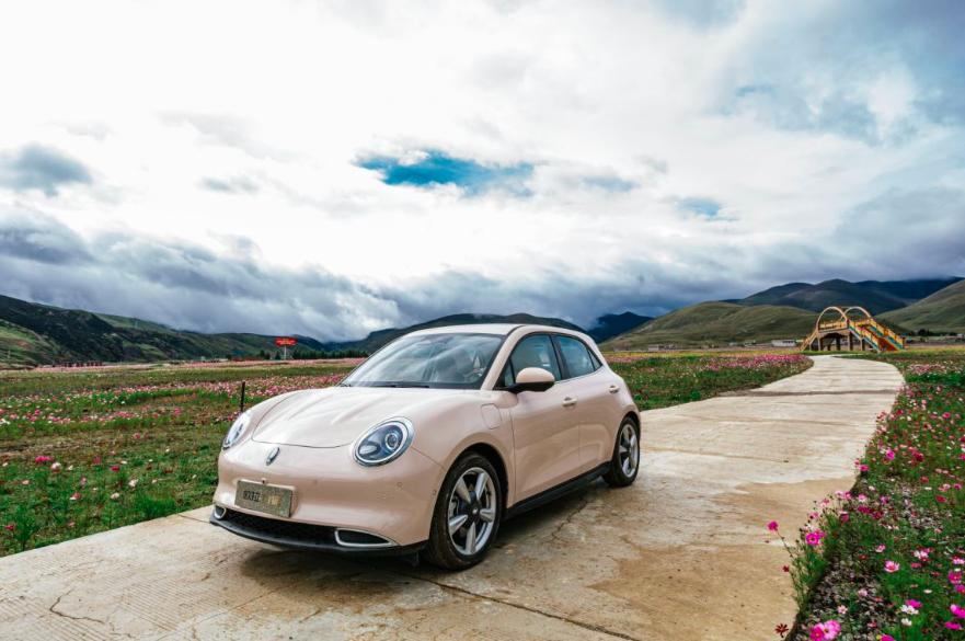 浪漫男友圣诞节送欧拉好猫？当事人：哄女友神器了