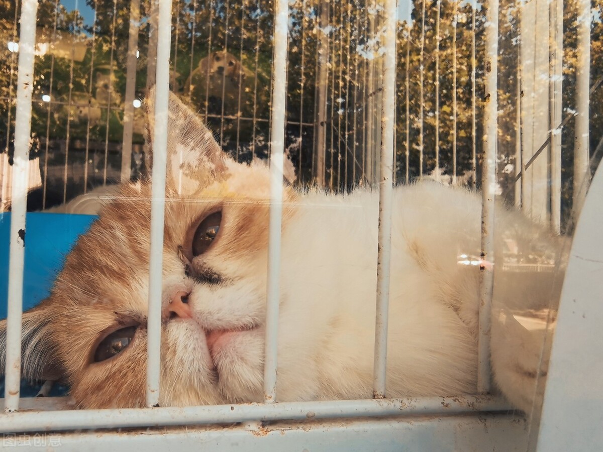 摘下面具做最真实的自己,放下伪装摘下面具做最真实的自己